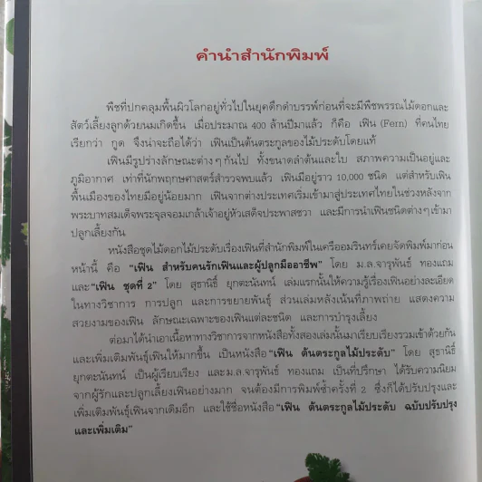 เฟิน ต้นตระกูลไม้ประดับ - ม.ล.จารุพันธ์ ทองแถม รูปที่ 11