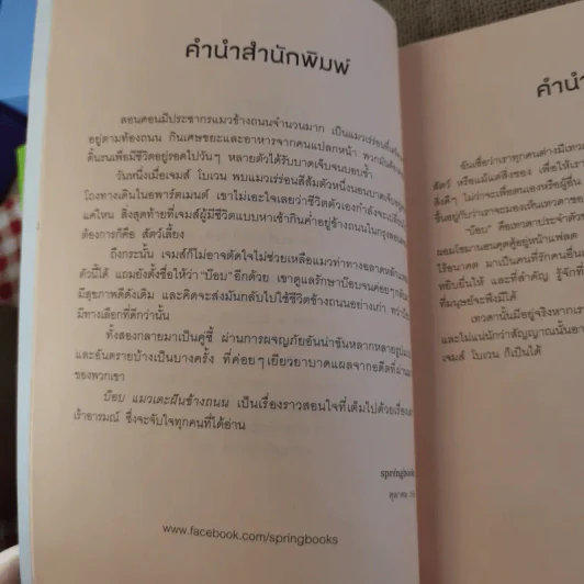 บ๊อบ แมวเตะฝันข้างถนน A Street Cat Named Bob รูปที่ 10