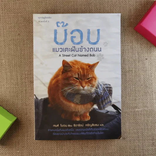 บ๊อบ แมวเตะฝันข้างถนน A Street Cat Named Bob รูปที่ 1