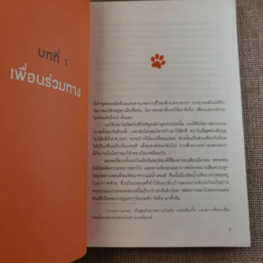 บ๊อบ แมวเตะฝันข้างถนน A Street Cat Named Bob รูปที่ 12