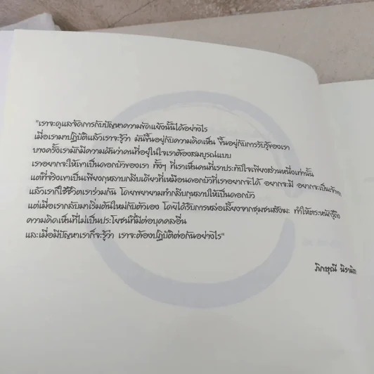 หินก้อนที่ 5 ประสบการณ์ภาวนาปลด ขันธ์ห้า กับ ติช นัท ฮันห์ รูปที่ 8