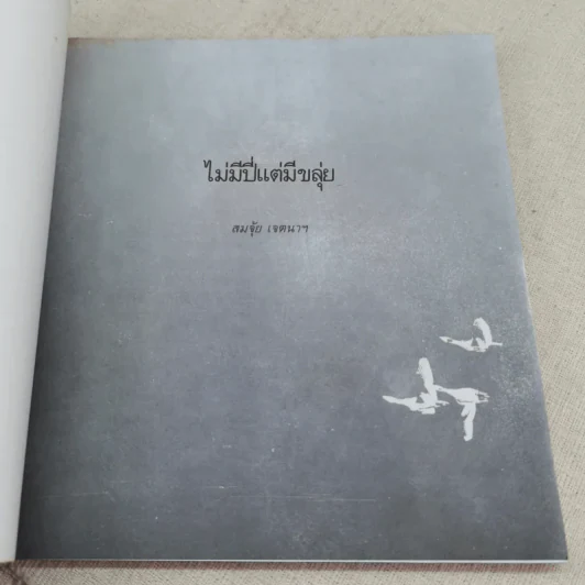ไม่มีปี่แต่มีขลุ่ย - สมจุ้ย เจตนาน่าสนุก รูปที่ 8