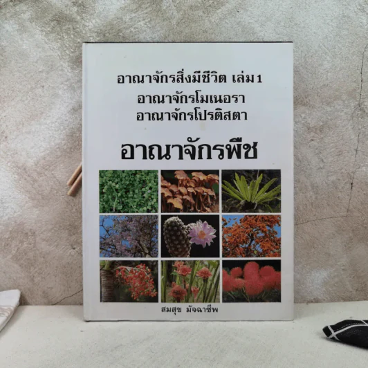 อาณาจักรสิ่งมีชีวิต เล่ม 1 อาณาจักรโมเนอรา อาณาจักรโปรติสตา อาณาจักรพืช - สมสุข มัจฉาชีพ รูปที่ 1