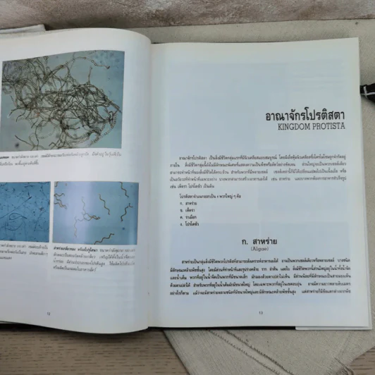อาณาจักรสิ่งมีชีวิต เล่ม 1 อาณาจักรโมเนอรา อาณาจักรโปรติสตา อาณาจักรพืช - สมสุข มัจฉาชีพ รูปที่ 13