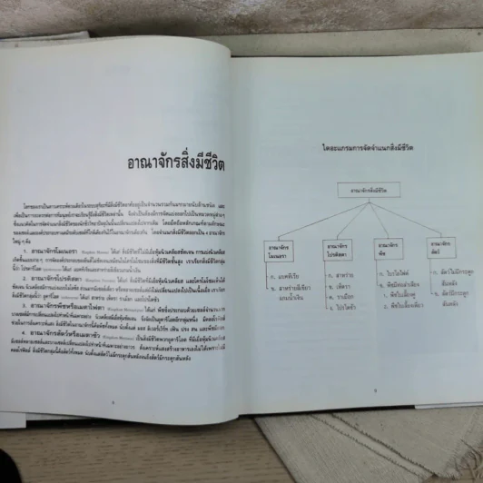 อาณาจักรสิ่งมีชีวิต เล่ม 1 อาณาจักรโมเนอรา อาณาจักรโปรติสตา อาณาจักรพืช - สมสุข มัจฉาชีพ รูปที่ 12