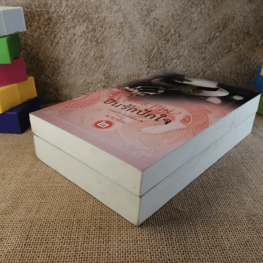 ปิ่นรักปักใจ 2 เล่มจบ - พายพิณ รูปที่ 4
