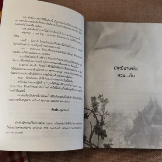 เพลิงฉิมพลี - อุมาริการ์ รูปที่ 8