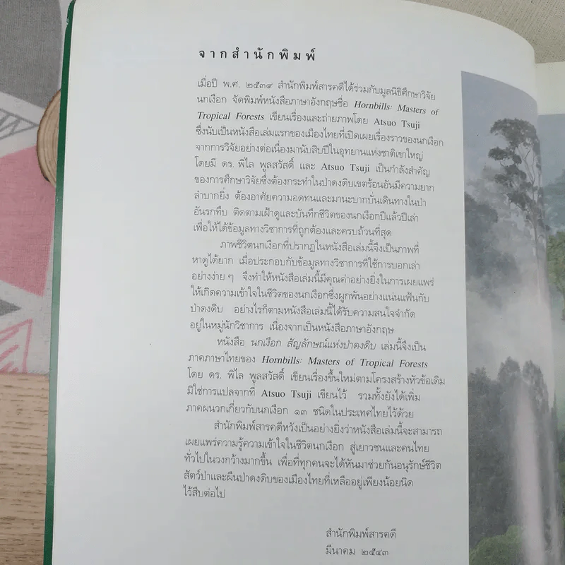 นกเงือก สัญลักษณ์แห่งป่าดงดิบ - พิไล พูลสวัสดิ์ รูปที่ 7