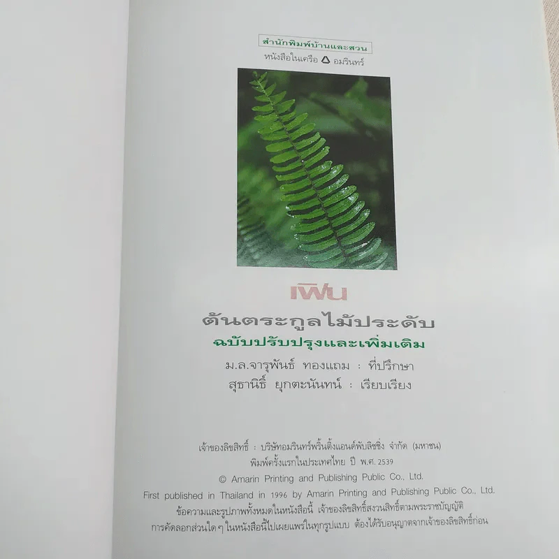 เฟิน ต้นตระกูลไม้ประดับ - ม.ล.จารุพันธ์ ทองแถม รูปที่ 8