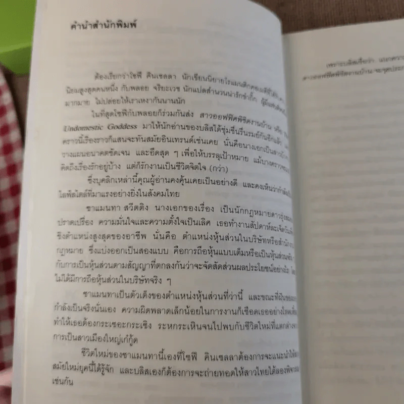 สาวออฟฟิศพิชิตงานบ้าน - โซฟี คินเซลลา รูปที่ 9