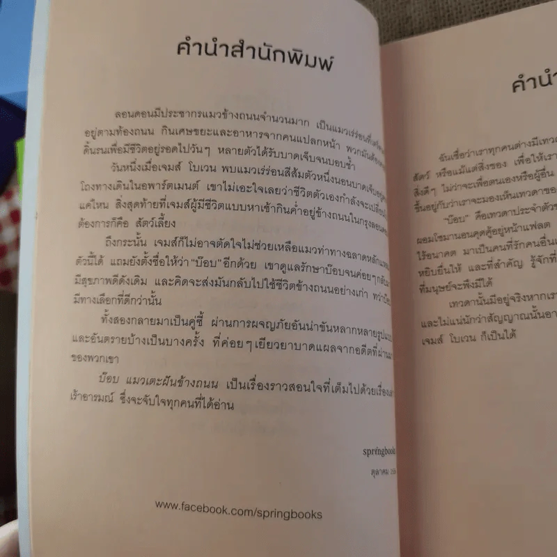 บ๊อบ แมวเตะฝันข้างถนน A Street Cat Named Bob รูปที่ 10