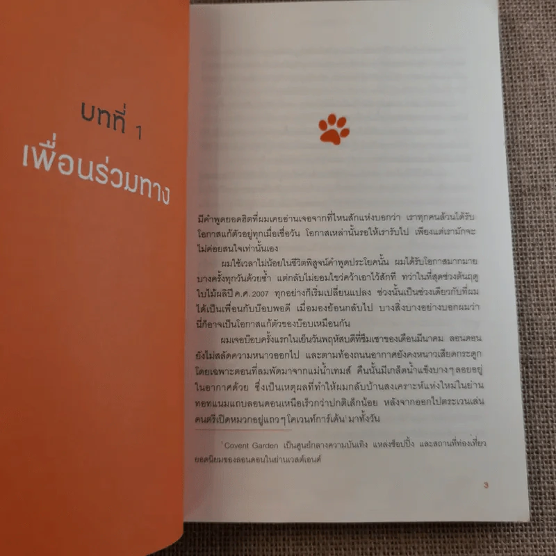 บ๊อบ แมวเตะฝันข้างถนน A Street Cat Named Bob รูปที่ 12