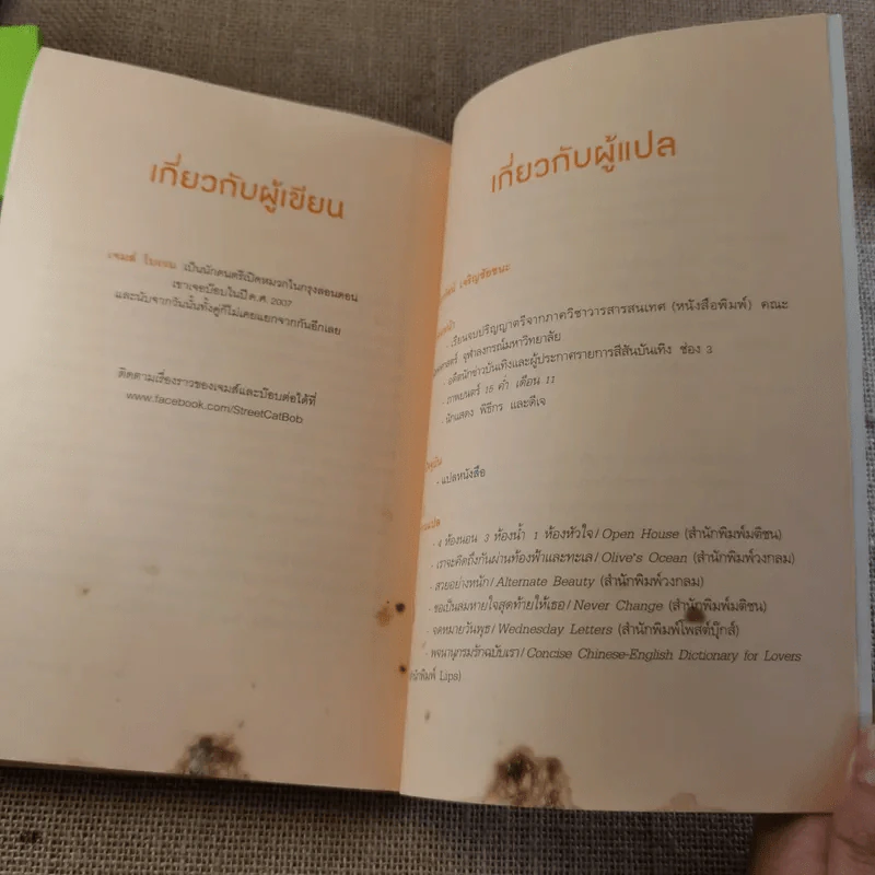 บ๊อบ แมวเตะฝันข้างถนน A Street Cat Named Bob รูปที่ 14