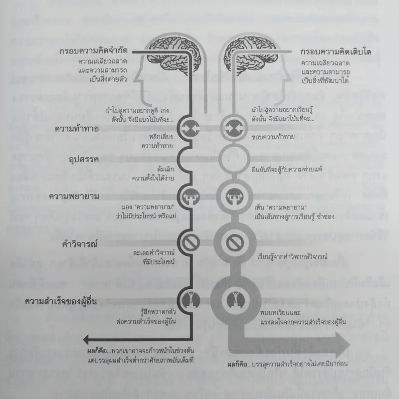 เปลี่ยน MINDSET ชีวิตเปลี่ยน กรอบความคิดและทฤษฎีใหม่ของความสำเร็จ รูปที่ 11