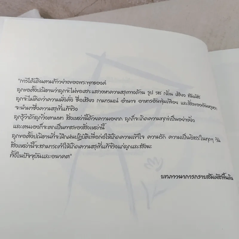 หินก้อนที่ 5 ประสบการณ์ภาวนาปลด ขันธ์ห้า กับ ติช นัท ฮันห์ รูปที่ 9