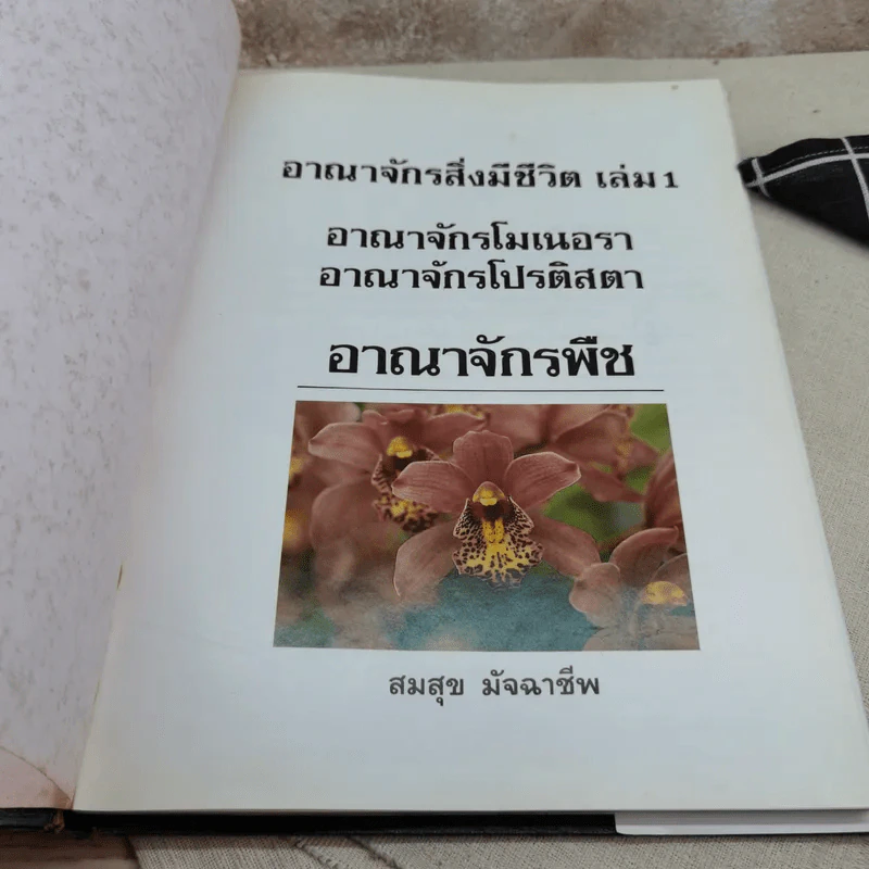อาณาจักรสิ่งมีชีวิต เล่ม 1 อาณาจักรโมเนอรา อาณาจักรโปรติสตา อาณาจักรพืช - สมสุข มัจฉาชีพ รูปที่ 8