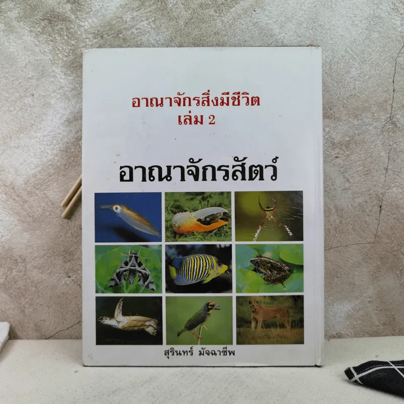 อาณาจักรสิ่งมีชีวิต เล่ม 1 อาณาจักรโมเนอรา อาณาจักรโปรติสตา อาณาจักรพืช - สมสุข มัจฉาชีพ รูปที่ 2
