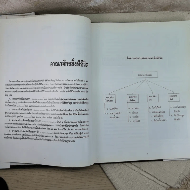 อาณาจักรสิ่งมีชีวิต เล่ม 1 อาณาจักรโมเนอรา อาณาจักรโปรติสตา อาณาจักรพืช - สมสุข มัจฉาชีพ รูปที่ 12