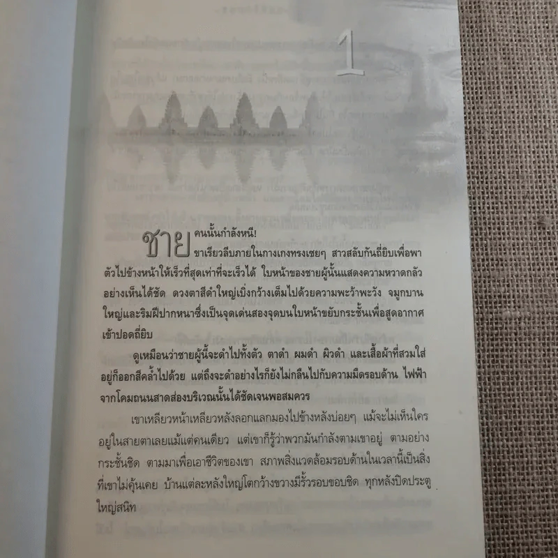 สมบัติกัมพุช ตอน ล่าลายแทง - พันธุ์ พงศ์นาค รูปที่ 11