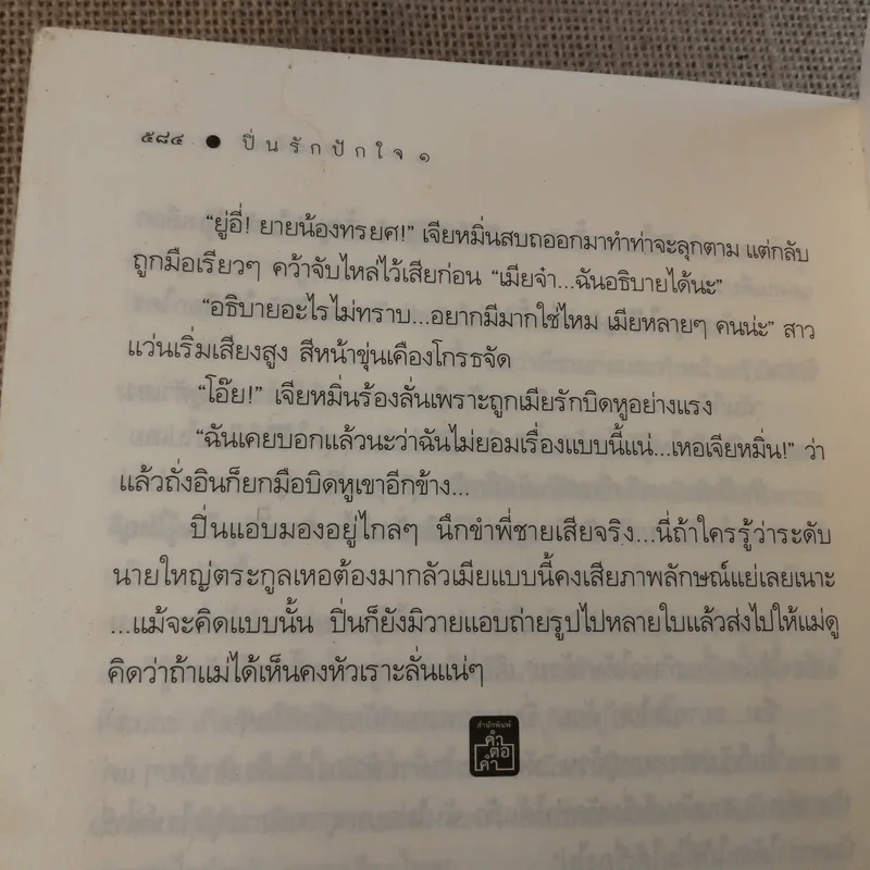 ปิ่นรักปักใจ 2 เล่มจบ - พายพิณ รูปที่ 11