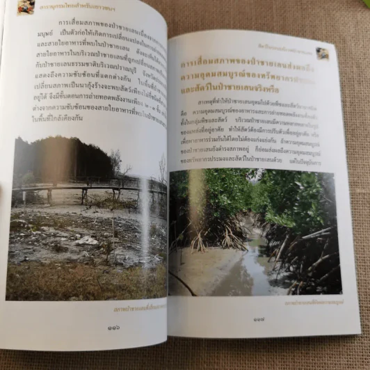 สารานุกรมไทยสำหรับเยาวชน เล่ม 5 รูปที่ 13