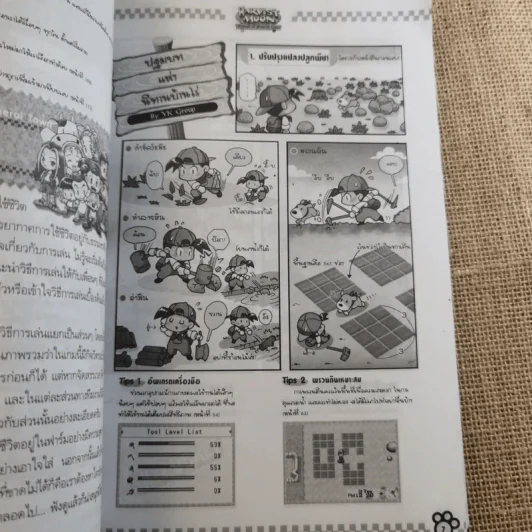 HARVEST MOON Friends of Mineral Town คู่มือการดำเนินชีวิตในบ้านไร่ที่สมบูรณ์ สำหรับเวอร์ชั่นภาษาอังกฤษ รูปที่ 11