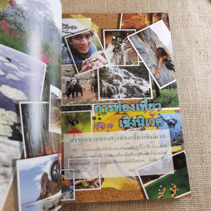 สารานุกรมไทยสำหรับเยาวชน เล่ม 5 รูปที่ 11