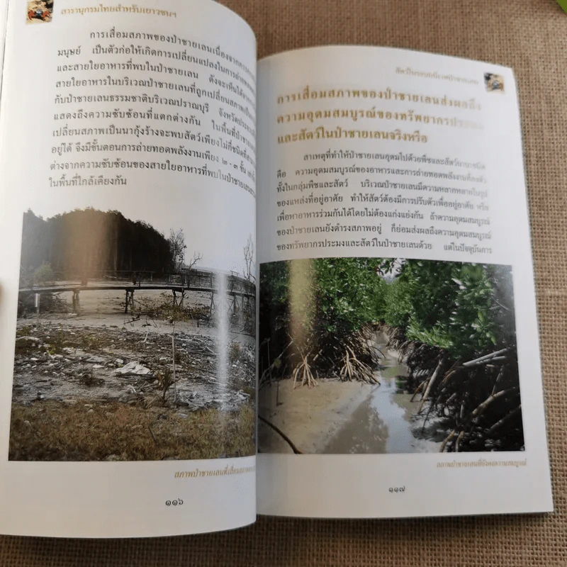 สารานุกรมไทยสำหรับเยาวชน เล่ม 5 รูปที่ 13