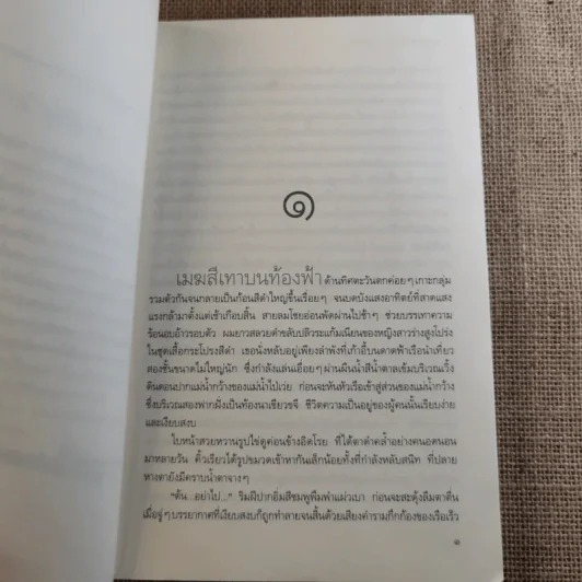 Destiny หอมกลิ่นโบตั๋น - ญานภา รูปที่ 12