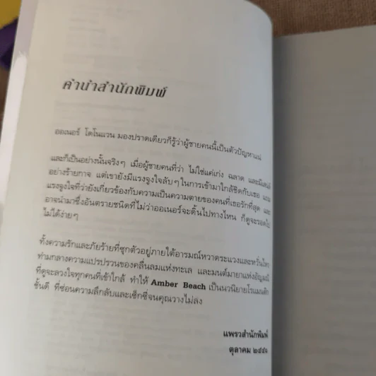 เพลิงอำพัน Amber Beach - อลิซาเบธ โลเวลล์ รูปที่ 10
