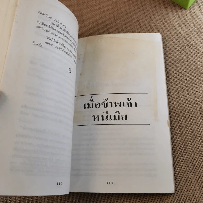 เมื่อข้าพเจ้าหนีเมีย - พลตรี หลวงวิจิตรวาทการ รูปที่ 13
