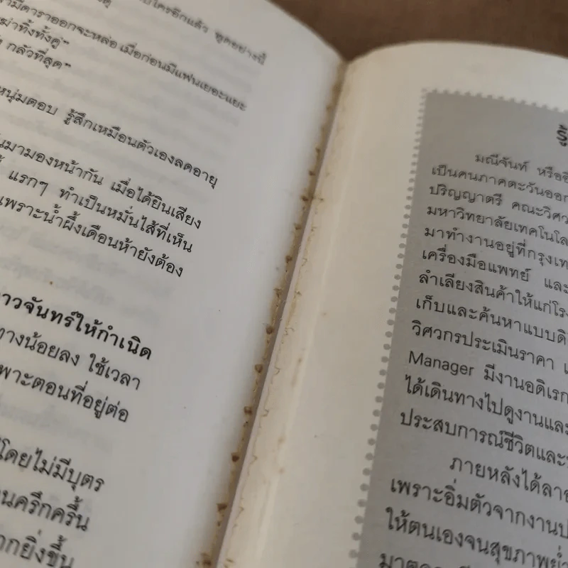 ล่าหัวใจนางฟ้า - มณีจันท์ รูปที่ 12