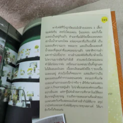 Sweeter Tokyo may made - กุลพัชร์ กนกวัฒนาวรรณ รูปที่ 14