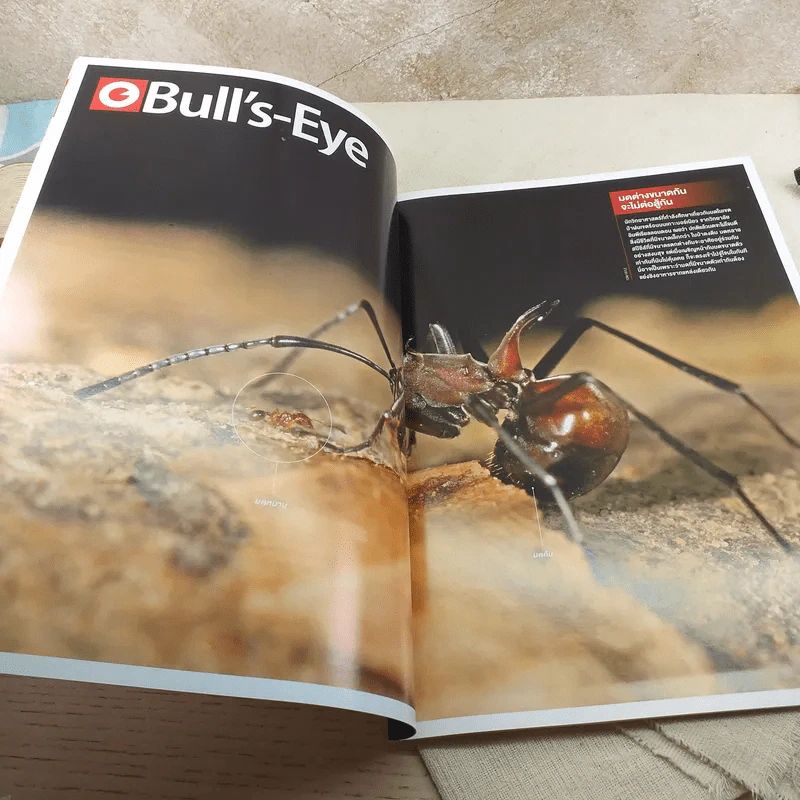 Science Illustrated January No.55/2016 Scientific Breakthroughs รูปที่ 10
