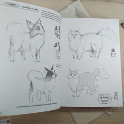 How To Draw Manga รวม 3 เล่ม การวาดภาพสัตว์ + Sketching Manga-Style ตัวละครที่น่าจดจำ + การวาดการ์ตูนในแบบมังงะ รูปที่ 14
