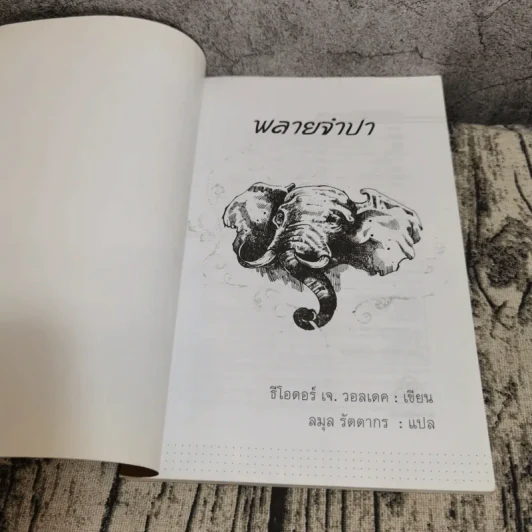 พลายจำปา - ลมุล รัตตากร รูปที่ 6