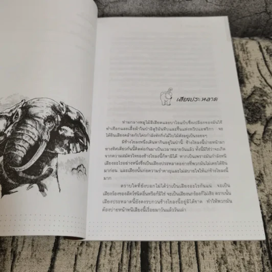 พลายจำปา - ลมุล รัตตากร รูปที่ 12