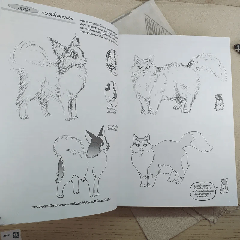 How To Draw Manga รวม 3 เล่ม การวาดภาพสัตว์ + Sketching Manga-Style ตัวละครที่น่าจดจำ + การวาดการ์ตูนในแบบมังงะ รูปที่ 14