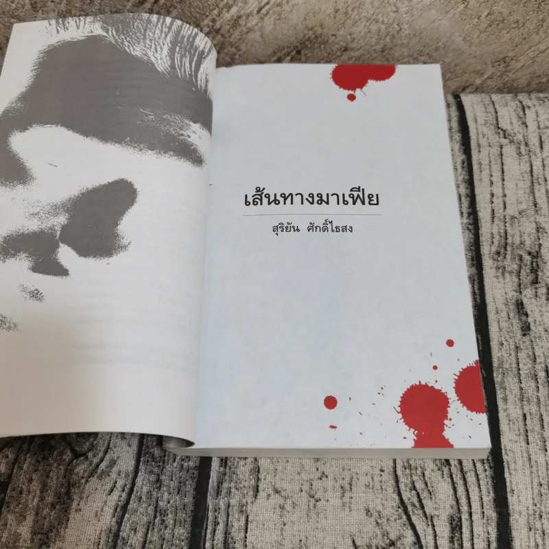 เส้นทางมาเฟีย - สุริยัน ศักดิ์ไธสง รูปที่ 13