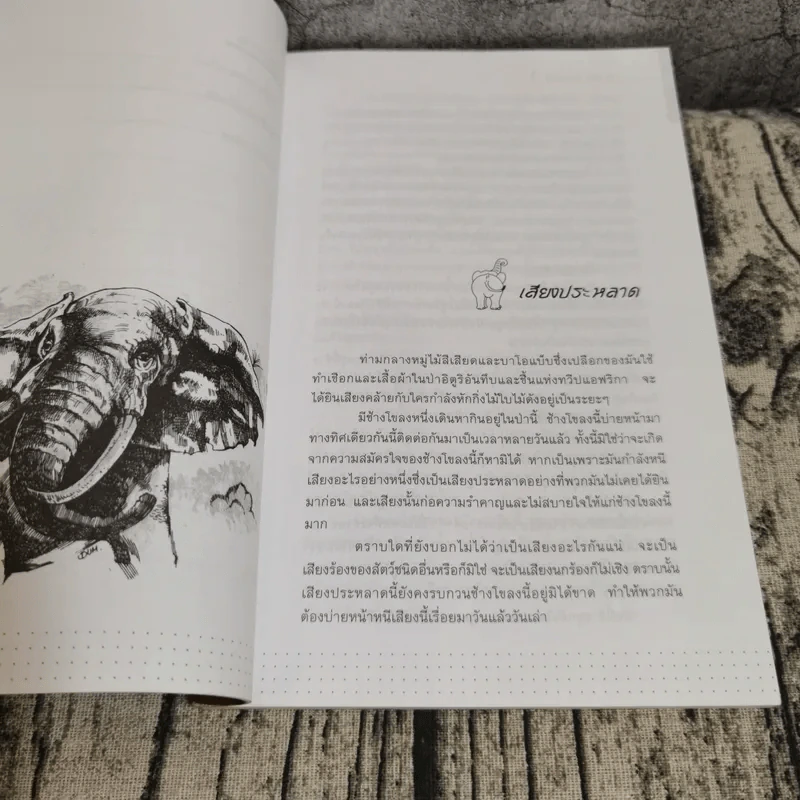พลายจำปา - ลมุล รัตตากร รูปที่ 12