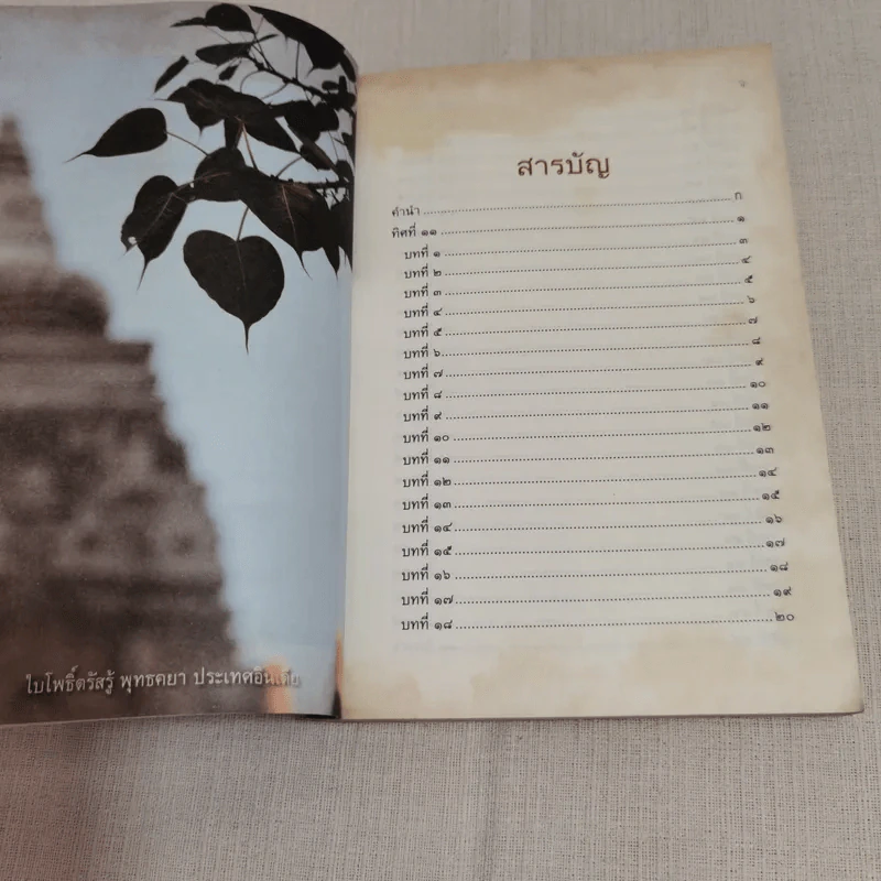 ทิศที่ 11 - หลวงพ่อชุมพล พลปญฺโญ รูปที่ 9
