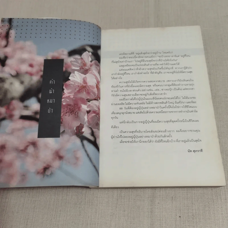 อยู่ญี่ปุ่นอย่างหมาป่า - นัท ศุภวาที รูปที่ 8