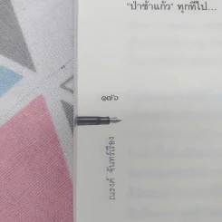 ปากกาแก้ว - ณรงค์ จันทร์เรือง รูปที่ 11