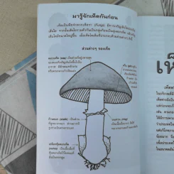 เพาะเห็ดขาย สร้างอาชีพใหม่ เพิ่มรายได้ - อดุลย์ รัตนมั่นเกษม รูปที่ 10