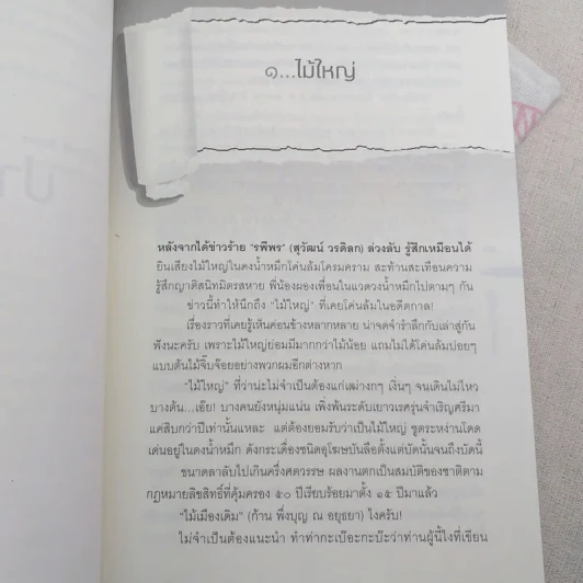 ปากกาแก้ว - ณรงค์ จันทร์เรือง รูปที่ 10