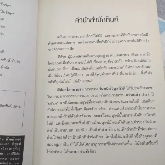 ผีน้อยโลกมายา รูปที่ 9
