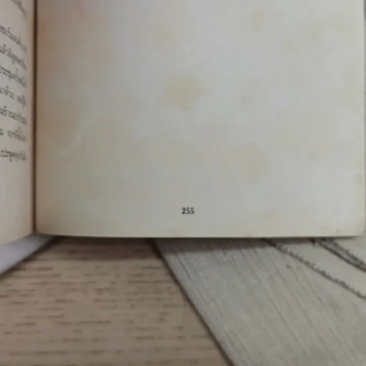 สิบเอ็ดนาที Eleven Minutes - Paulo Coelho รูปที่ 9