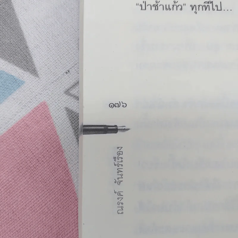 ปากกาแก้ว - ณรงค์ จันทร์เรือง รูปที่ 11