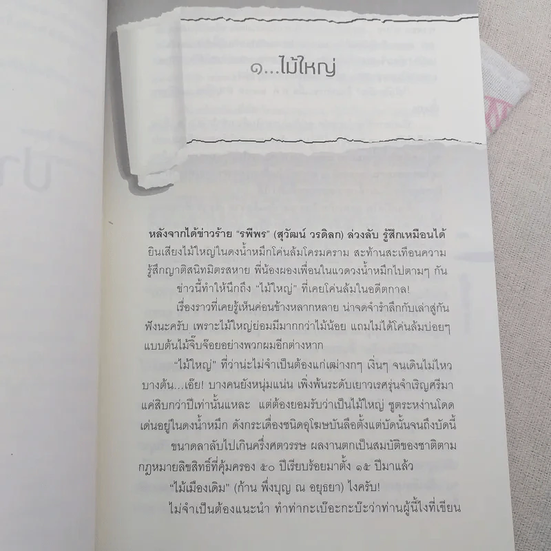 ปากกาแก้ว - ณรงค์ จันทร์เรือง รูปที่ 10