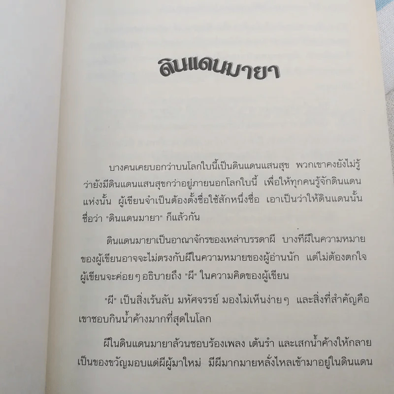 ผีน้อยโลกมายา รูปที่ 10